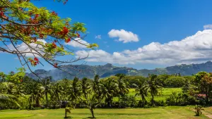 Discover Nadi